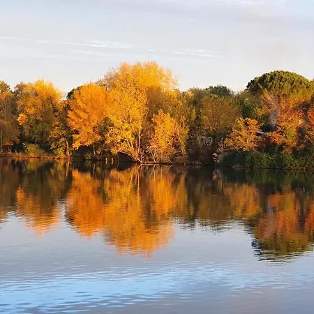 Les Berges Du Seudo Appartement Labastide-de-Lévis Buitenkant foto