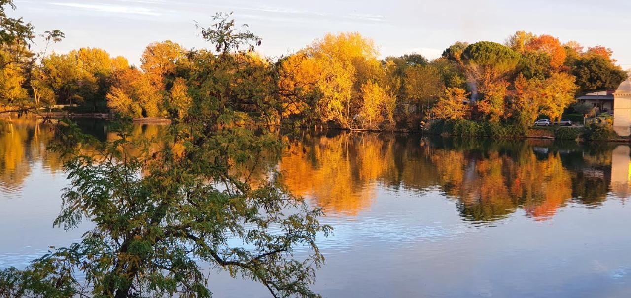 Les Berges Du Seudo Labastide-de-Lévis