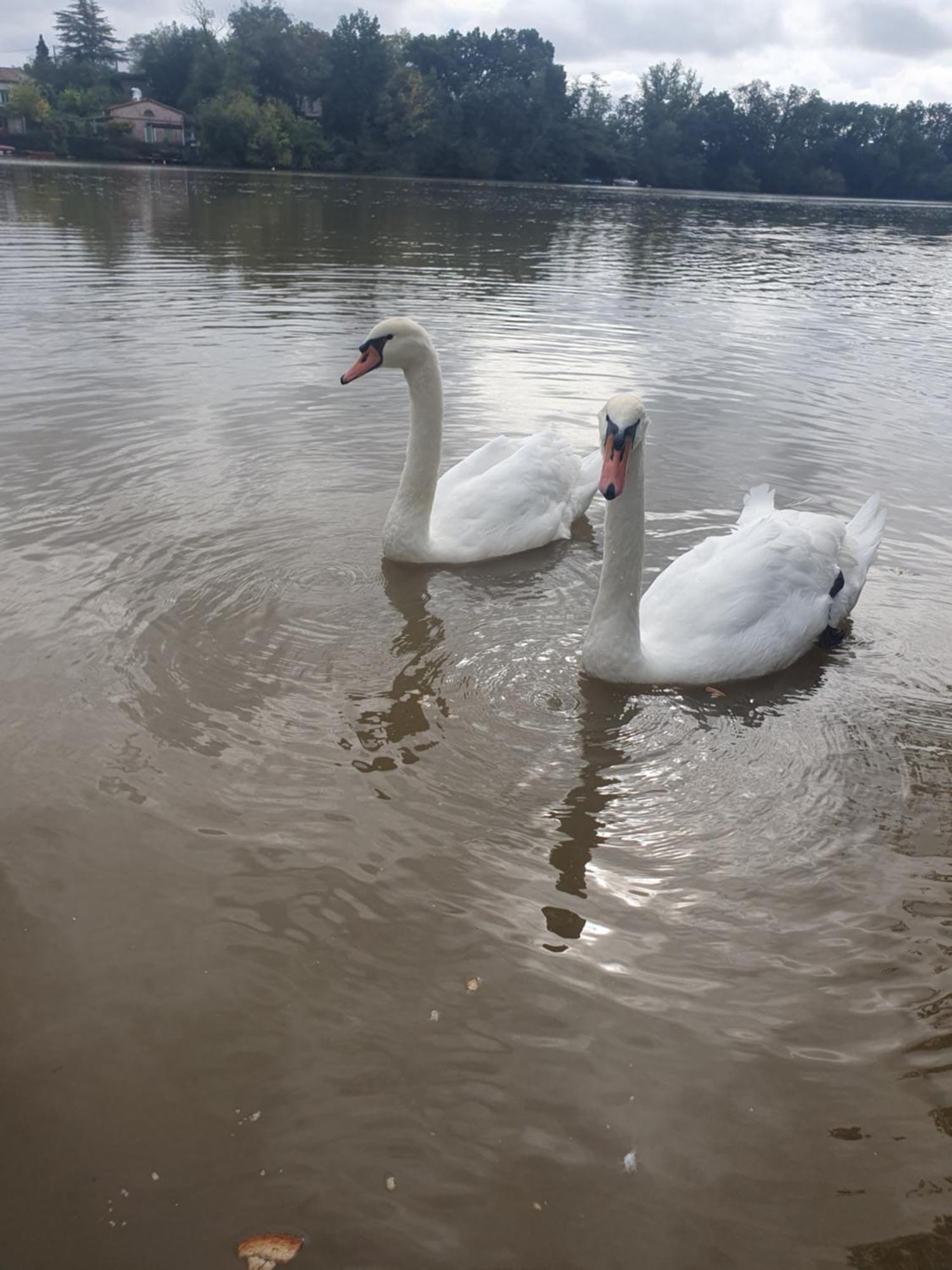 Appartement Les Berges Du Seudo *